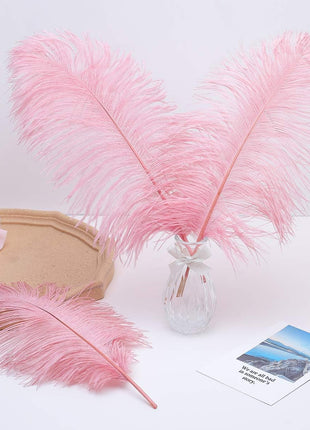 Lotus Pink Ostrich Feathers - 24Pcs 12-14Inch Large Feathers Bulk for Vase,Party Centerpieces,Wedding and Home Decor