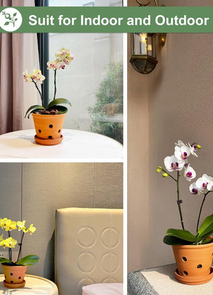 6 Inch Terracotta Orchid Pots with Holes, Saucers - 3 Pack Clay Orchid Planter Pots for Repotting, Small Terra Cotta Pot, Indoor & Outdoor, Promotes Air Circulation