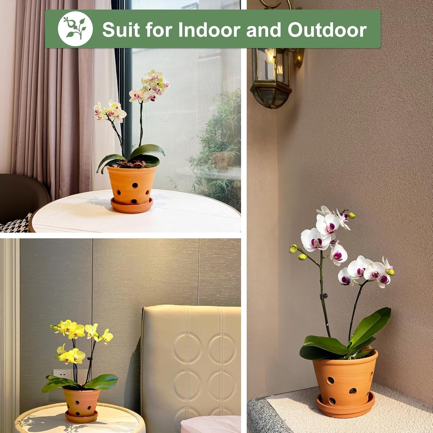 6 Inch Terracotta Orchid Pots with Holes, Saucers - 3 Pack Clay Orchid Planter Pots for Repotting, Small Terra Cotta Pot, Indoor &amp; Outdoor, Promotes Air Circulation