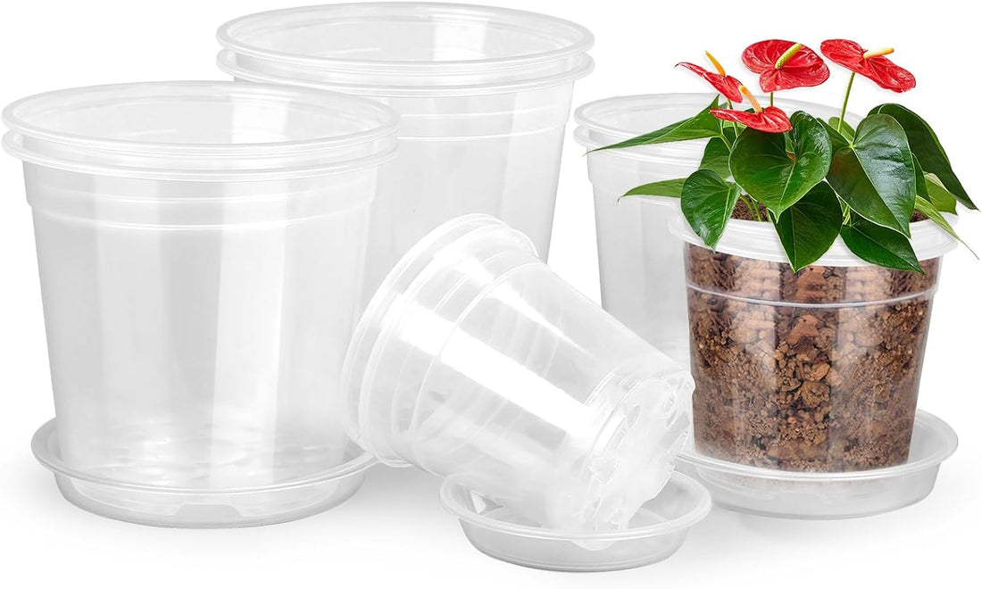 8/7/6/5/4 Inch Clear Nursery Pots with Drainage and Saucers, 10 Pack Clear Pots for Plants, Nursery Pots for Flowers, Succulents Outdoor Indoor