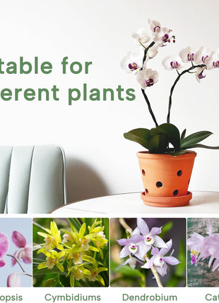 6 Inch Terracotta Orchid Pots with Holes, Saucers - 3 Pack Clay Orchid Planter Pots for Repotting, Small Terra Cotta Pot, Indoor & Outdoor, Promotes Air Circulation
