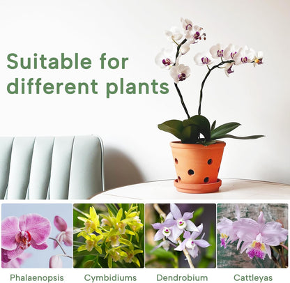 6 Inch Terracotta Orchid Pots with Holes, Saucers - 3 Pack Clay Orchid Planter Pots for Repotting, Small Terra Cotta Pot, Indoor &amp; Outdoor, Promotes Air Circulation
