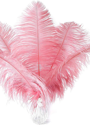 Lotus Pink Ostrich Feathers - 24Pcs 12-14Inch Large Feathers Bulk for Vase,Party Centerpieces,Wedding and Home Decor