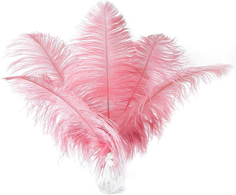 Lotus Pink Ostrich Feathers - 24Pcs 12-14Inch Large Feathers Bulk for Vase,Party Centerpieces,Wedding and Home Decor