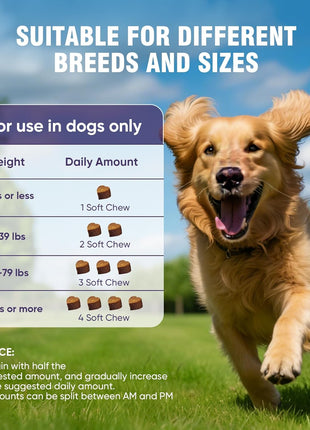 Glucosamine for Dogs 200Pcs Joint Support Supplement Dog Hip and Joint Chondroitin Chews Treats with MSM Dog Joint Pain Relief Mobility Supplements Chicken Flavor Fit All Large Small Medium Breed