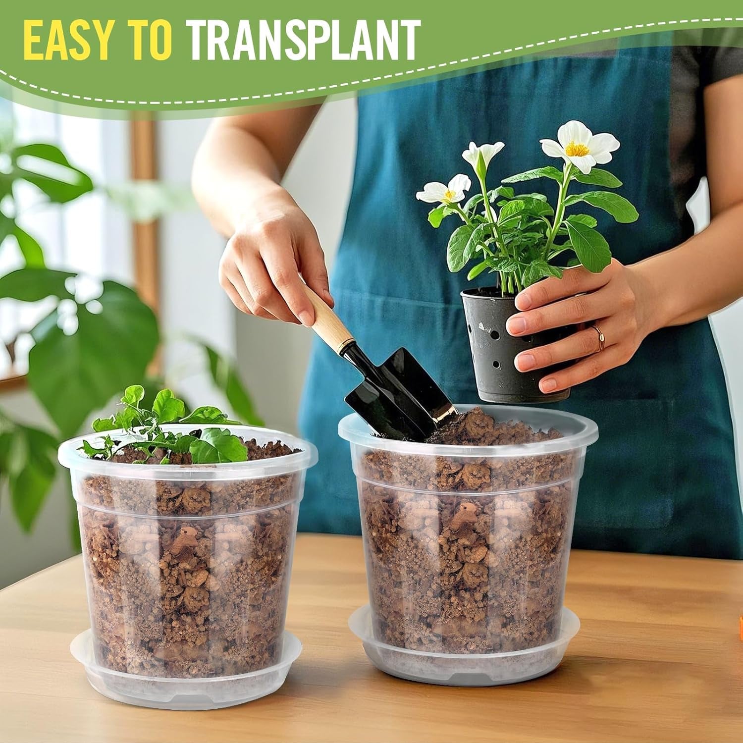 8/7/6/5/4 Inch Clear Nursery Pots with Drainage and Saucers, 10 Pack Clear Pots for Plants, Nursery Pots for Flowers, Succulents Outdoor Indoor