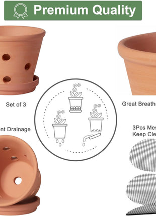 6 Inch Terracotta Orchid Pots with Holes, Saucers - 3 Pack Clay Orchid Planter Pots for Repotting, Small Terra Cotta Pot, Indoor & Outdoor, Promotes Air Circulation
