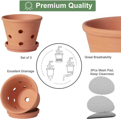 6 Inch Terracotta Orchid Pots with Holes, Saucers - 3 Pack Clay Orchid Planter Pots for Repotting, Small Terra Cotta Pot, Indoor &amp; Outdoor, Promotes Air Circulation