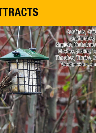 Orange Twist All Season No Mess Suet Cake Birders Pack, Food for Woodpeckers, Cardinals, Siskins, Sparrows, Finch'S & Many More Wild Birds & More - 10Oz, (Pack of 16)