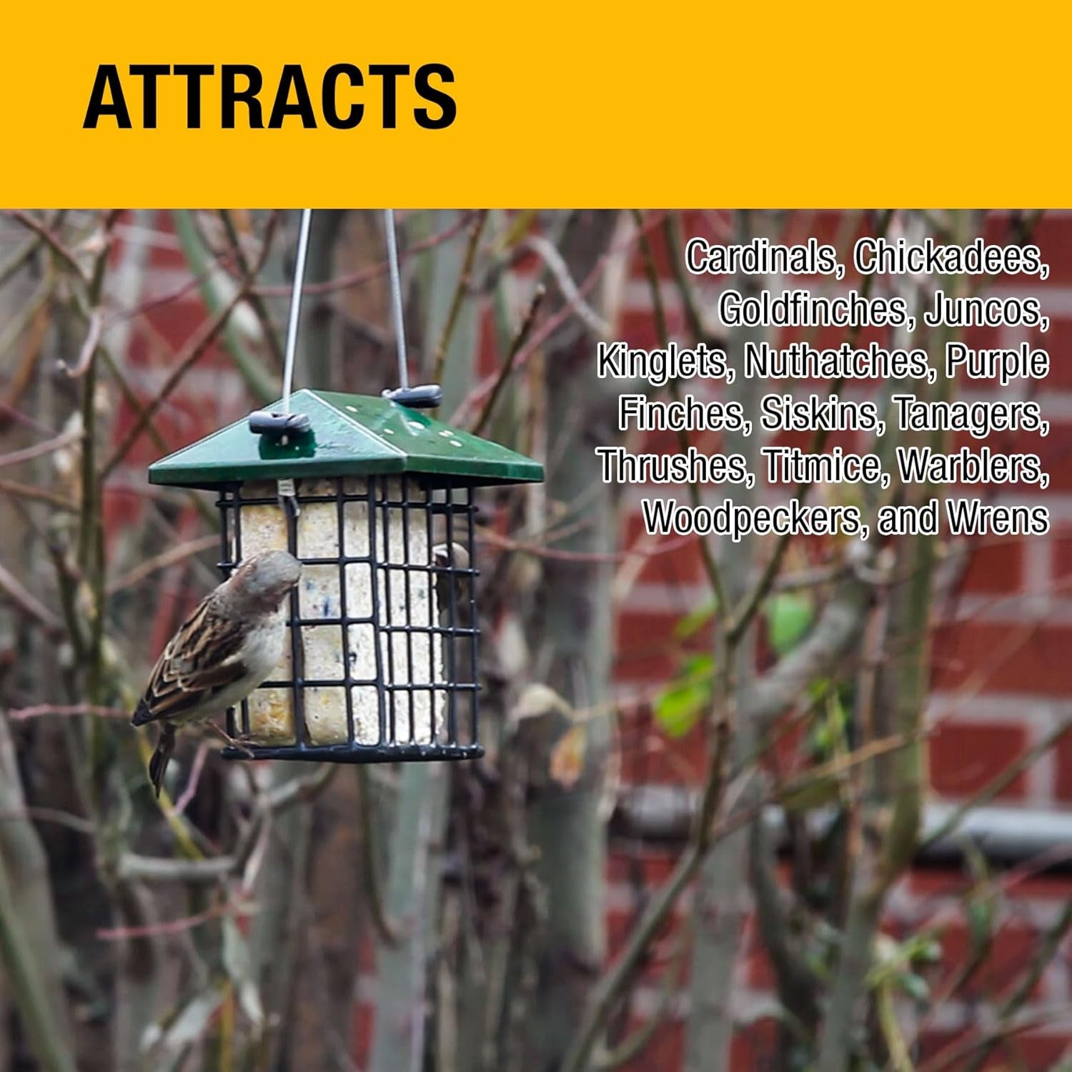 Peanut Crunch Suet Cakes Sample Pack, Contains 3 Suet Cakes, Try It, Your Birds Will Love It, for Woodpeckers, Cardinals, Siskins, Sparrows, Finchs &amp; Many More Wild Bird Species
