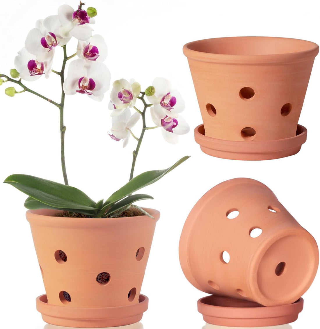 6 Inch Terracotta Orchid Pots with Holes, Saucers - 3 Pack Clay Orchid Planter Pots for Repotting, Small Terra Cotta Pot, Indoor &amp; Outdoor, Promotes Air Circulation
