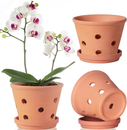 6 Inch Terracotta Orchid Pots with Holes, Saucers - 3 Pack Clay Orchid Planter Pots for Repotting, Small Terra Cotta Pot, Indoor &amp; Outdoor, Promotes Air Circulation