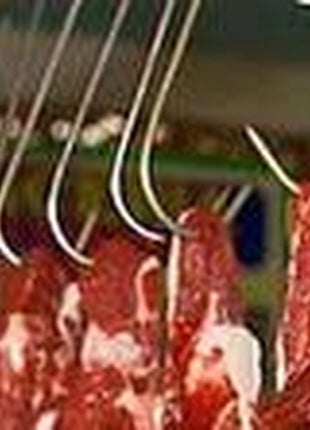 4Pc 9" Heavy Duty & Thick Stainless Steel Meat Processing Butcher Hook - Wild Game, Smoking Ribs BBQ Large Fish, Hunting, Carcass Deer Hanging S-Hook Excellent Quality 9Mm Thick