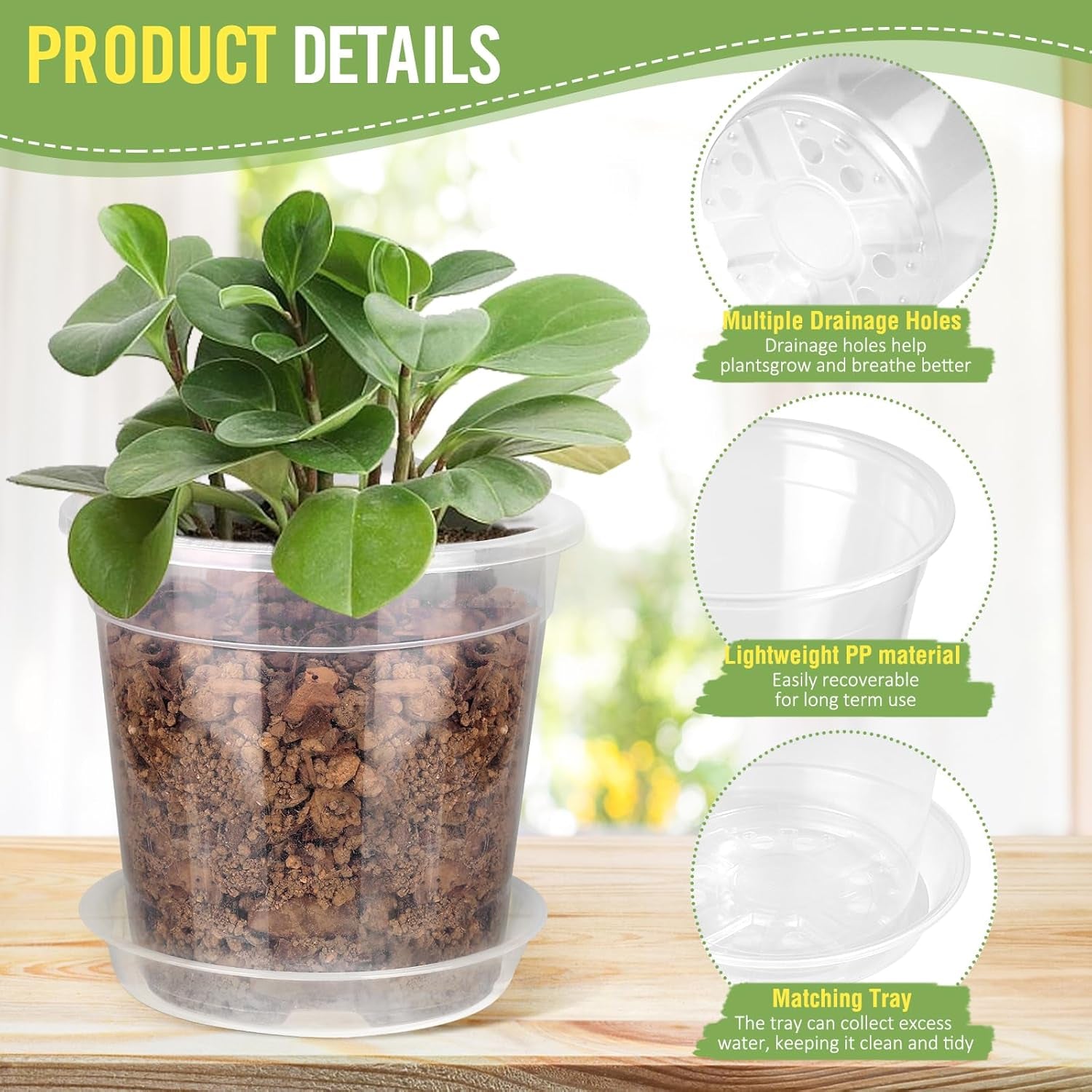 8/7/6/5/4 Inch Clear Nursery Pots with Drainage and Saucers, 10 Pack Clear Pots for Plants, Nursery Pots for Flowers, Succulents Outdoor Indoor