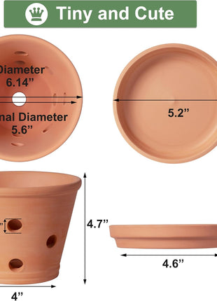 6 Inch Terracotta Orchid Pots with Holes, Saucers - 3 Pack Clay Orchid Planter Pots for Repotting, Small Terra Cotta Pot, Indoor & Outdoor, Promotes Air Circulation