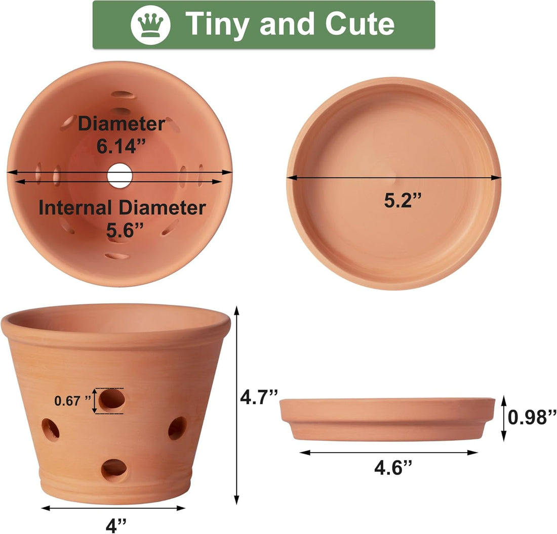 6 Inch Terracotta Orchid Pots with Holes, Saucers - 3 Pack Clay Orchid Planter Pots for Repotting, Small Terra Cotta Pot, Indoor &amp; Outdoor, Promotes Air Circulation
