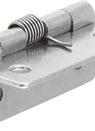 4 Pcs Spring Loaded Hinges for Cabinets, 2 Inch Length Stainless Steel Spring Hinges Self Closing