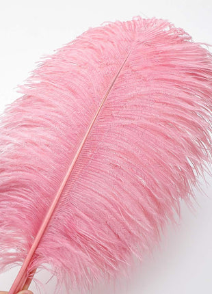 Lotus Pink Ostrich Feathers - 24Pcs 12-14Inch Large Feathers Bulk for Vase,Party Centerpieces,Wedding and Home Decor