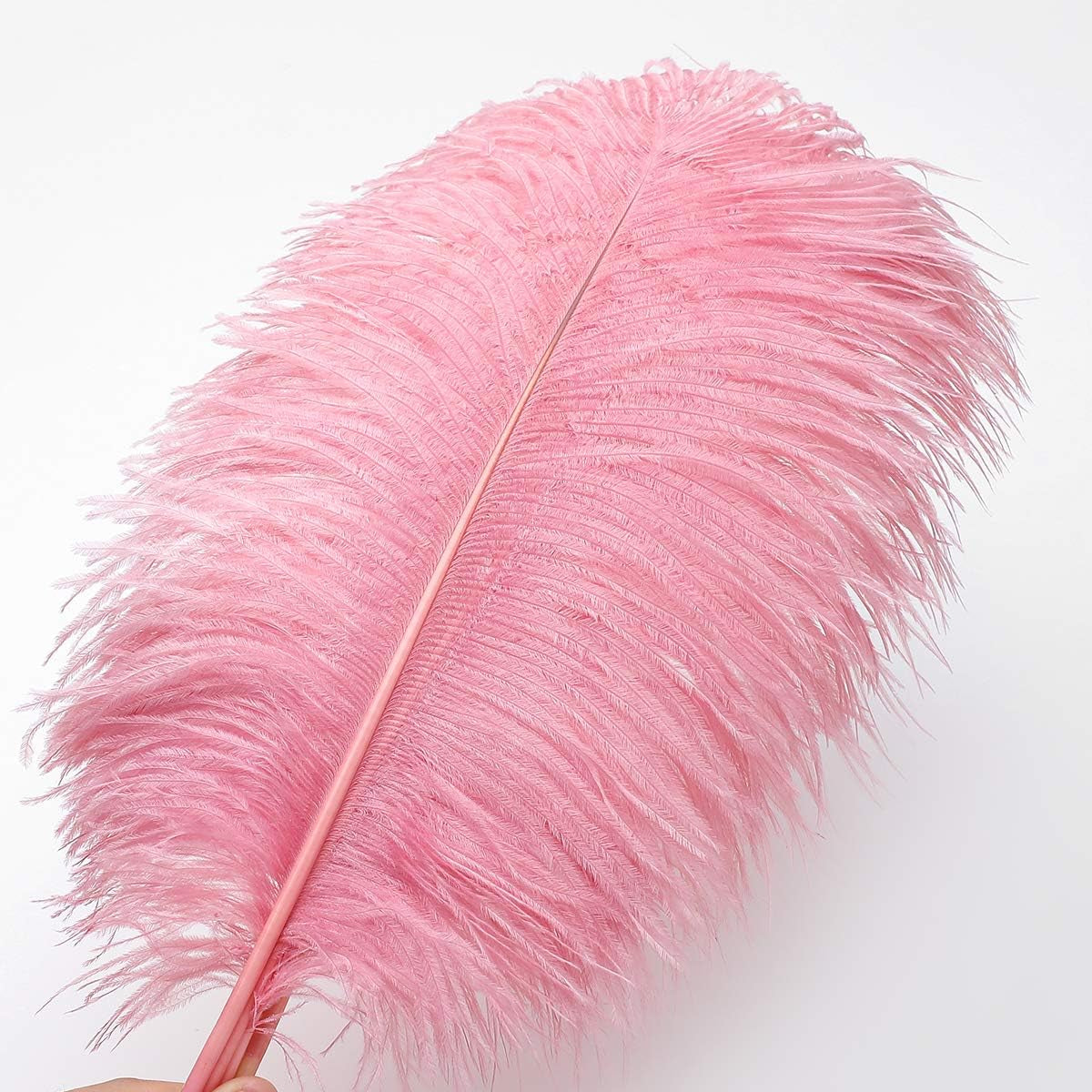 Lotus Pink Ostrich Feathers - 24Pcs 12-14Inch Large Feathers Bulk for Vase,Party Centerpieces,Wedding and Home Decor