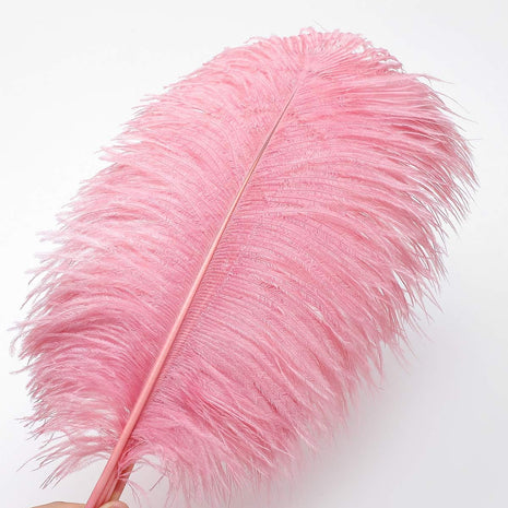 Lotus Pink Ostrich Feathers - 24Pcs 12-14Inch Large Feathers Bulk for Vase,Party Centerpieces,Wedding and Home Decor