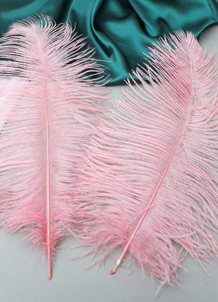 Lotus Pink Ostrich Feathers - 24Pcs 12-14Inch Large Feathers Bulk for Vase,Party Centerpieces,Wedding and Home Decor