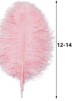 Lotus Pink Ostrich Feathers - 24Pcs 12-14Inch Large Feathers Bulk for Vase,Party Centerpieces,Wedding and Home Decor