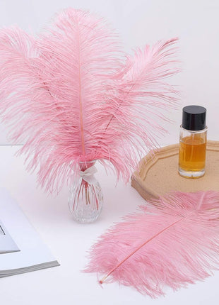 Lotus Pink Ostrich Feathers - 24Pcs 12-14Inch Large Feathers Bulk for Vase,Party Centerpieces,Wedding and Home Decor