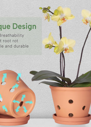 6 Inch Terracotta Orchid Pots with Holes, Saucers - 3 Pack Clay Orchid Planter Pots for Repotting, Small Terra Cotta Pot, Indoor & Outdoor, Promotes Air Circulation