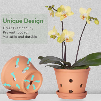 6 Inch Terracotta Orchid Pots with Holes, Saucers - 3 Pack Clay Orchid Planter Pots for Repotting, Small Terra Cotta Pot, Indoor &amp; Outdoor, Promotes Air Circulation
